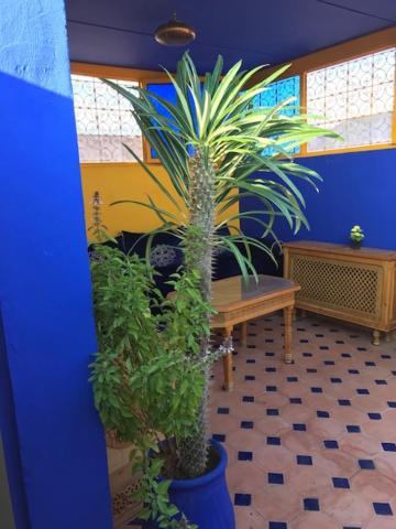 Riad Le Nid Bleu Chambres d'hôtes Marrakech Marraquexe Exterior foto